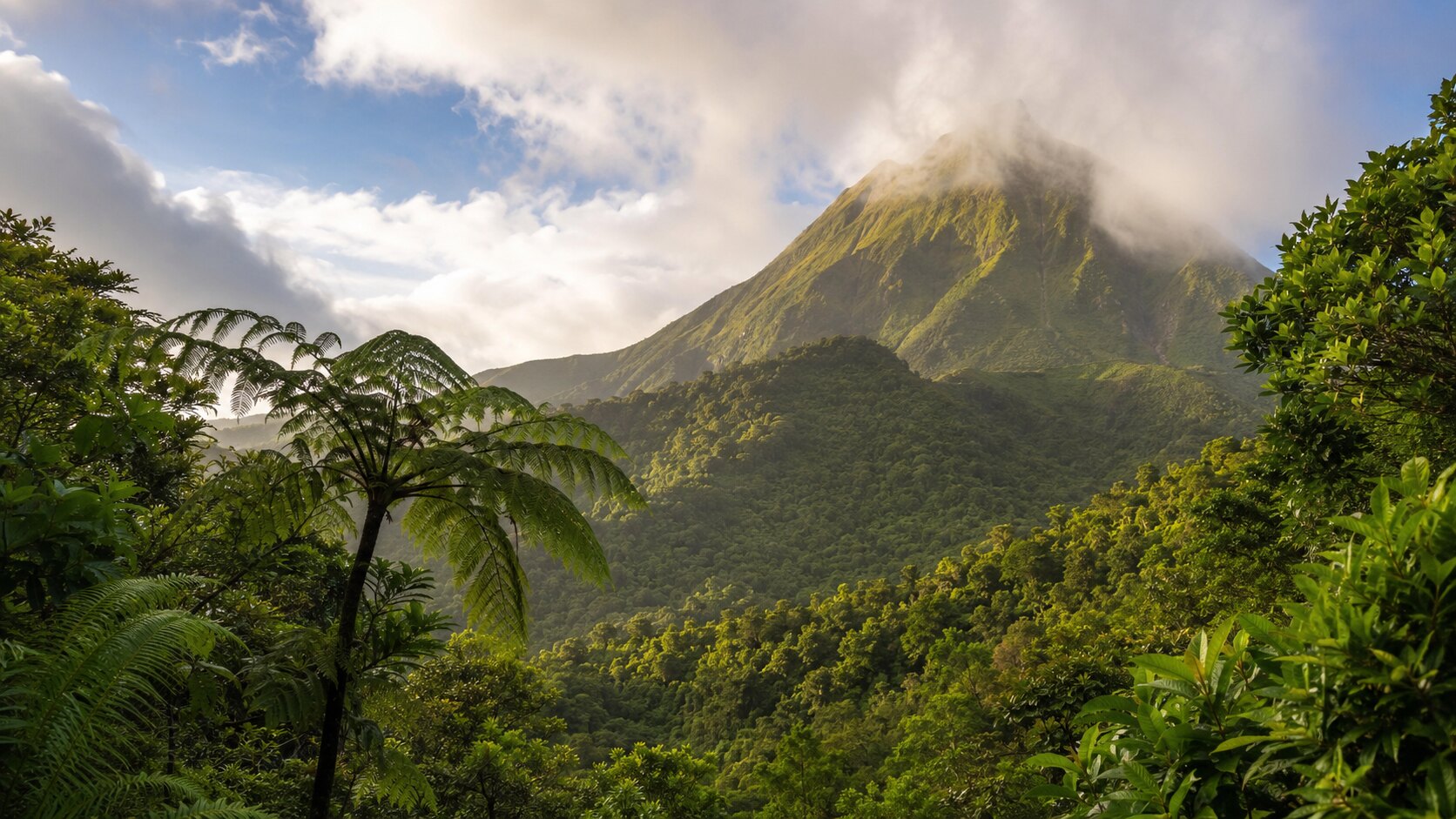 Le volcan de la Soufrière et sa forêt tropicale