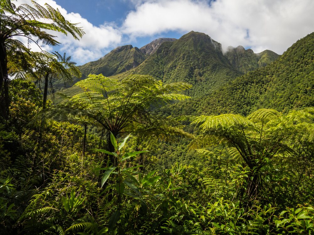 Basse-Terre