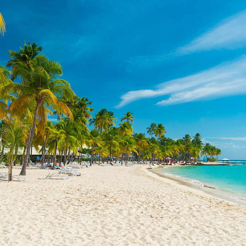 vignette de la plage de la caravelle ste anne