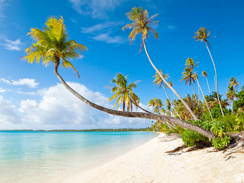 Plage de bois-jolan sainte anne