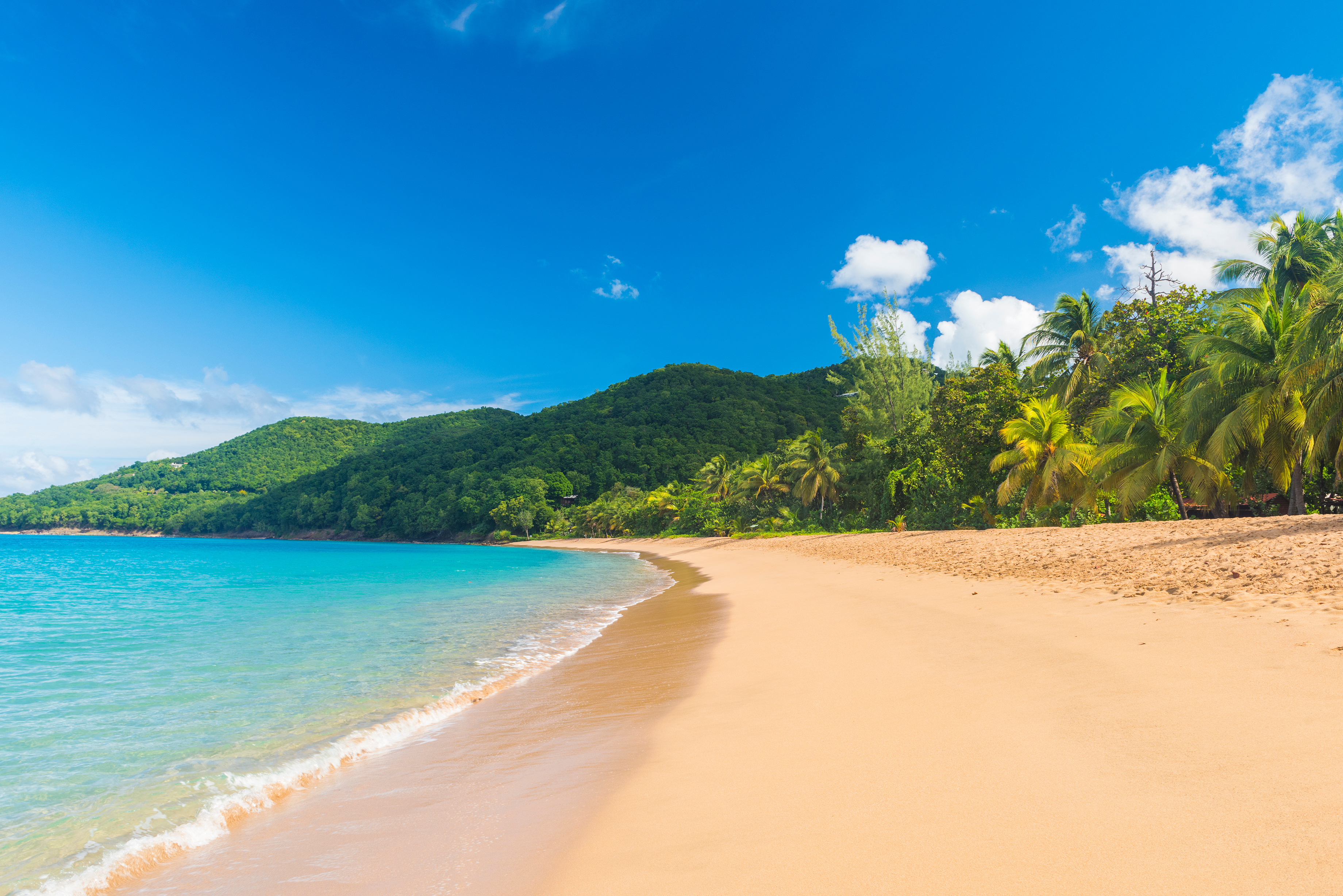 Plage de Grande Anse