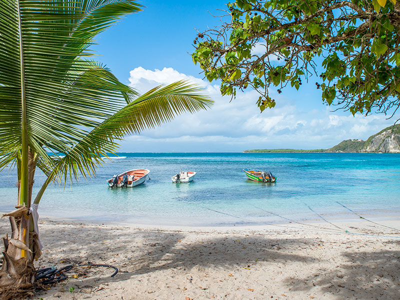 plage de petit havre guadeloupe